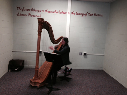 Laurel Federbush - Harpist
